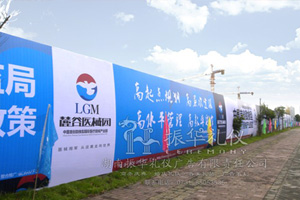 湖南麓谷国际医疗器械产业园开工仪式